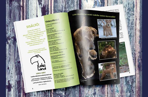 taittaja julkaisulle